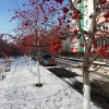 Зима 2019